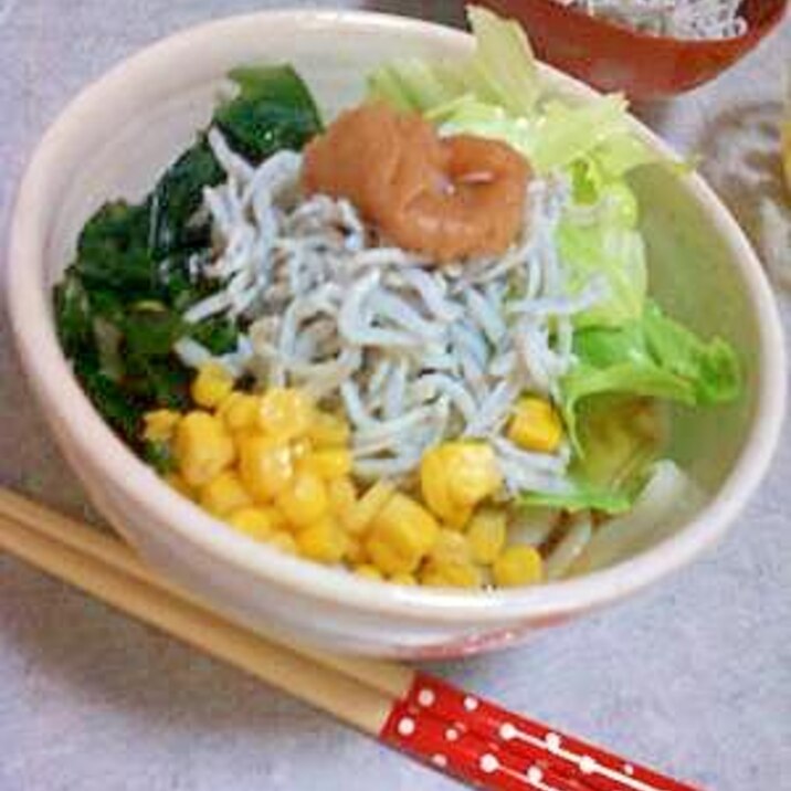 夏バテ対策 冷やし梅うどん レシピ 作り方 By おさるのちゅら海水族館 楽天レシピ 夏バテ対策 冷やし梅うどん レシピ 作り方 By おさるのちゅら海水族館 楽天レシピ